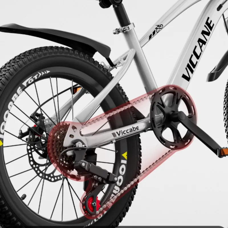 LISM 20-Inch Kids’ & Teen Bike – Carbon Steel Frame, Double Disc Brake