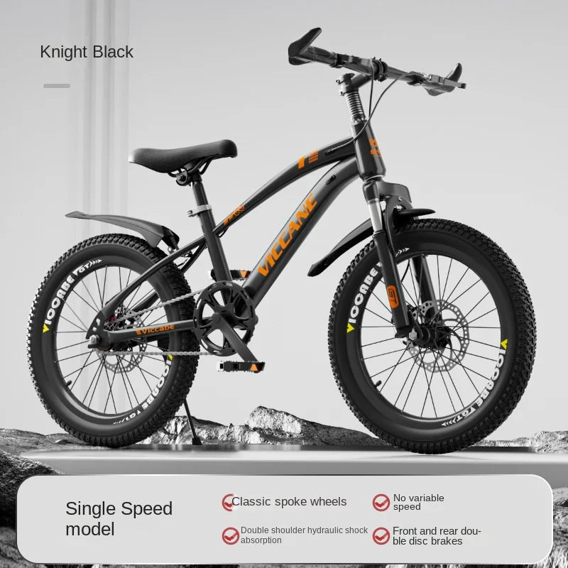 LISM 20-Inch Kids’ & Teen Bike – Carbon Steel Frame, Double Disc Brake