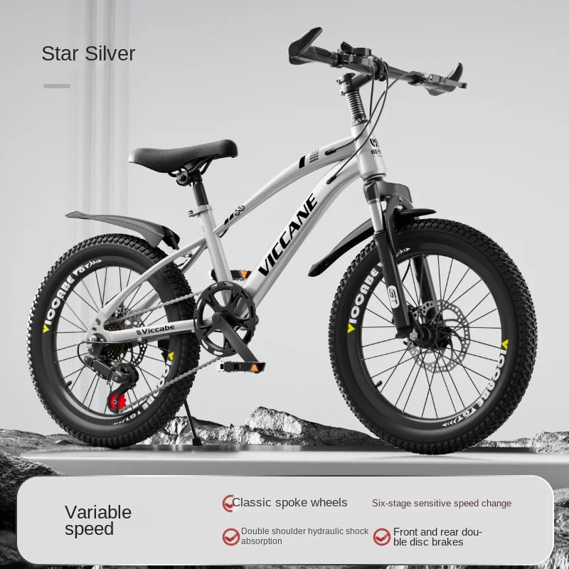 LISM 20-Inch Kids’ & Teen Bike – Carbon Steel Frame, Double Disc Brake