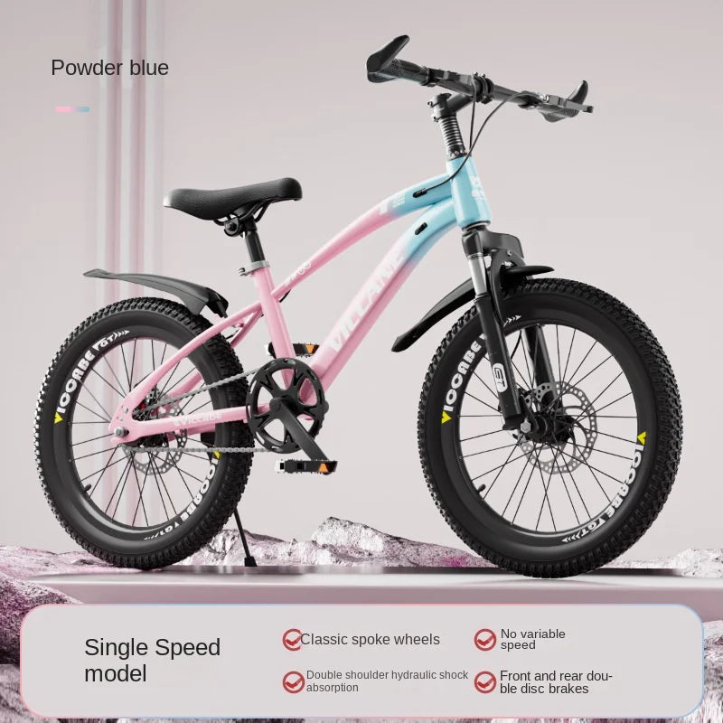 LISM 20-Inch Kids’ & Teen Bike – Carbon Steel Frame, Double Disc Brake
