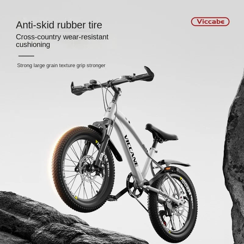 LISM 20-Inch Kids’ & Teen Bike – Carbon Steel Frame, Double Disc Brake