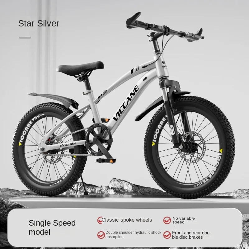 LISM 20-Inch Kids’ & Teen Bike – Carbon Steel Frame, Double Disc Brake