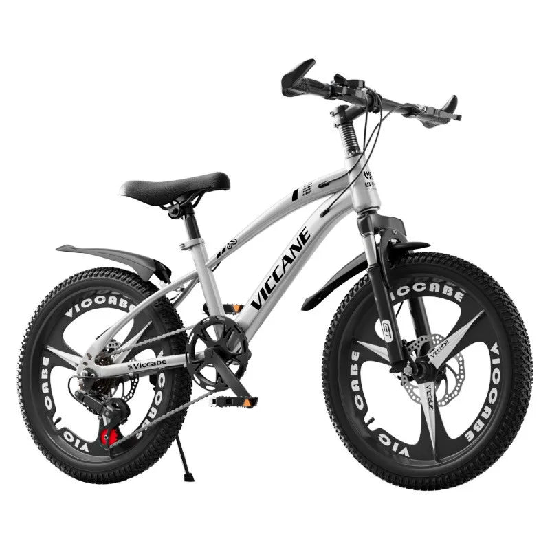 LISM 20-Inch Kids’ & Teen Bike – Carbon Steel Frame, Double Disc Brake