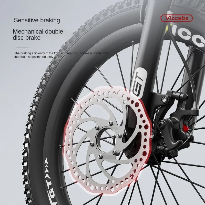 LISM 20-Inch Kids’ & Teen Bike – Carbon Steel Frame, Double Disc Brake