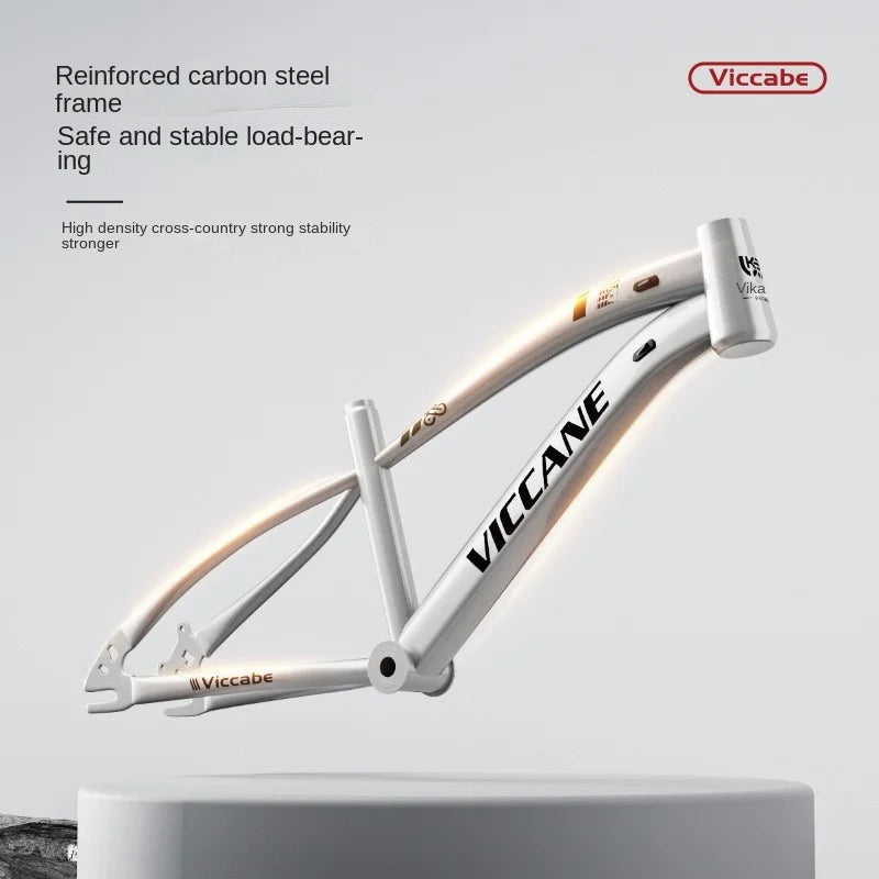 LISM 20-Inch Kids’ & Teen Bike – Carbon Steel Frame, Double Disc Brake