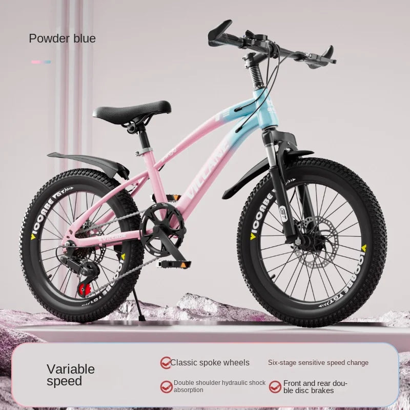 LISM 20-Inch Kids’ & Teen Bike – Carbon Steel Frame, Double Disc Brake