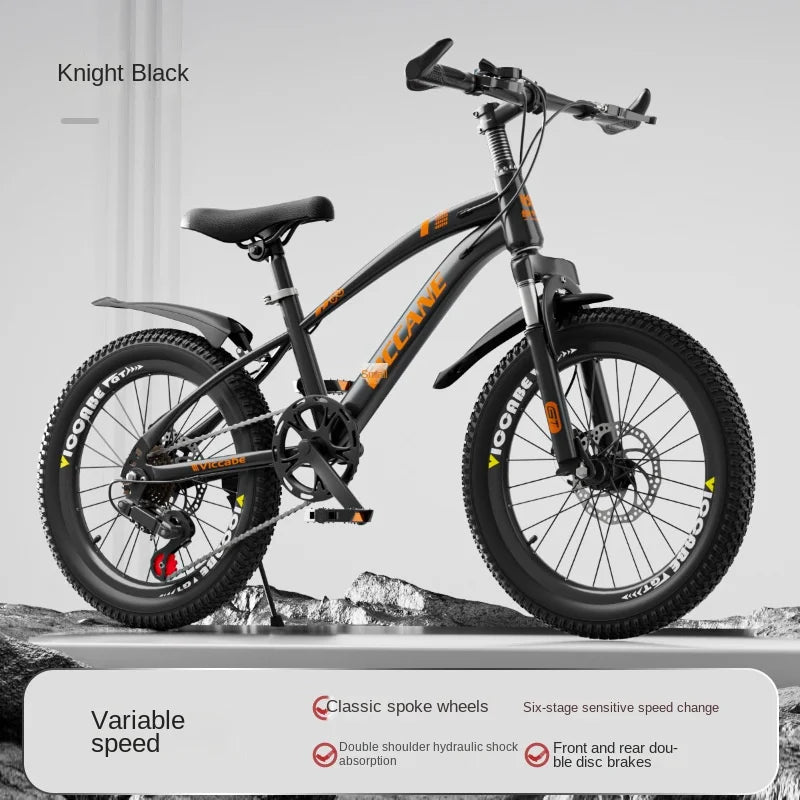 LISM 20-Inch Kids’ & Teen Bike – Carbon Steel Frame, Double Disc Brake